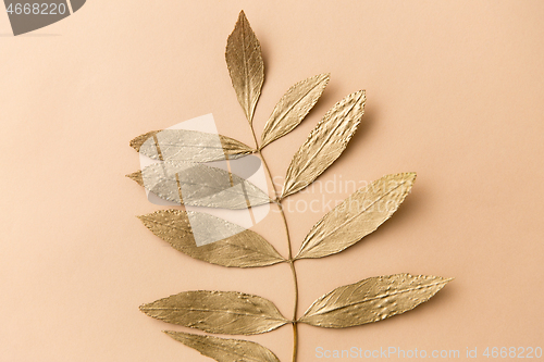 Image of golden ash tree leaf on beige background