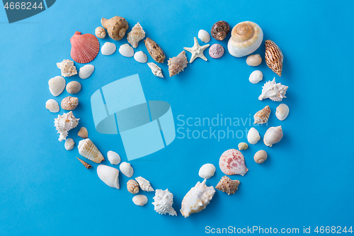Image of sea shells in shape of heart on blue background