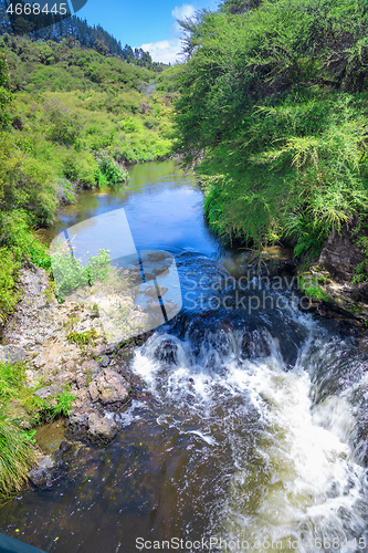 Image of small river with green plants New Zealand