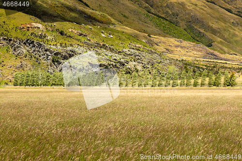 Image of Landscape scenery in south New Zealand