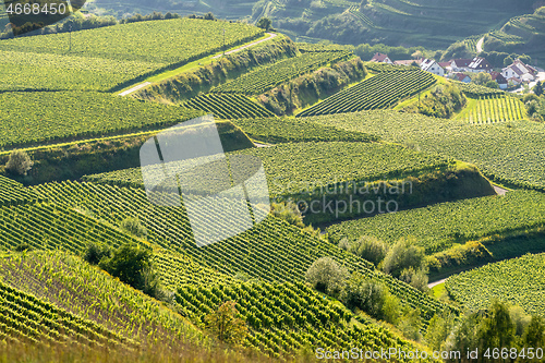 Image of landscape scenery in Breisgau Germany