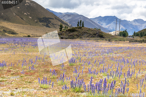 Image of Landscape scenery in south New Zealand