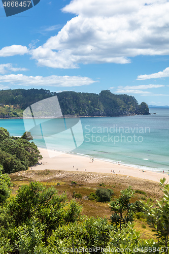 Image of hot springs beach New Zealand Coromandel