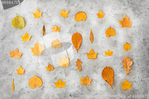 Image of dry fallen autumn leaves on gray stone background