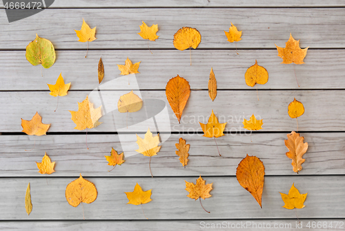 Image of dry fallen autumn leaves on gray wooden boards