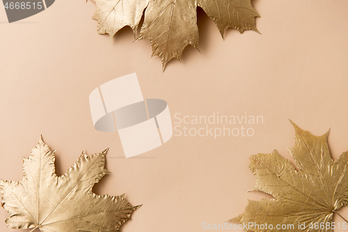 Image of golden maple leaves on beige background
