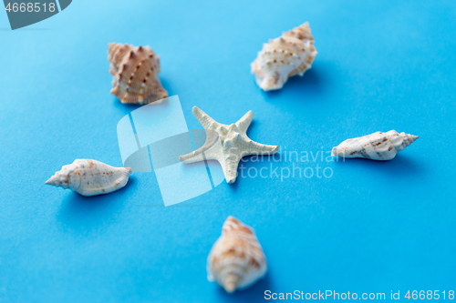 Image of different sea shells on blue background