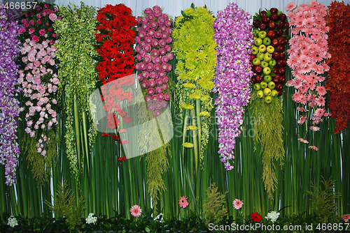 Image of Floral background