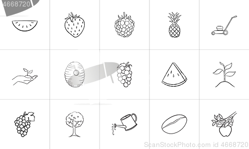 Image of Agriculture food hand drawn sketch icon set.