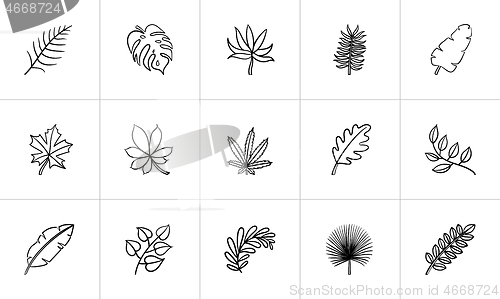 Image of Leaves of plants and trees sketch icon set.