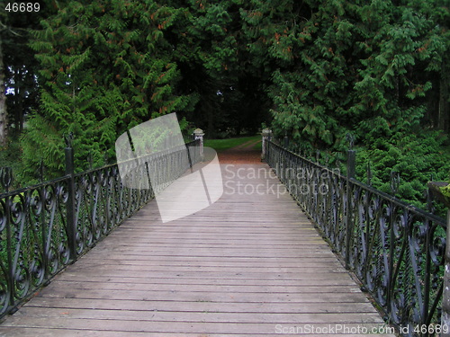 Image of Bridge Into Forest