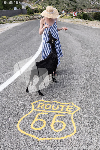 Image of Young attractive woman wearing striped summer dress and straw hat standing on an endless straight empty road in the middle of nowhere on the Route 66 road and feeding black sheep.