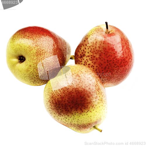 Image of Ripe Forelle Pears 