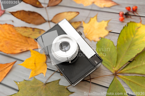 Image of film camera and autumn leaves on wooden boards