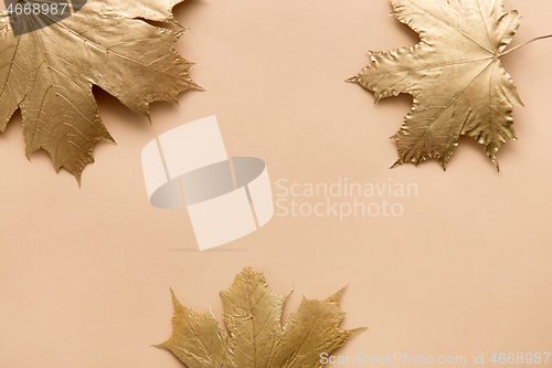 Image of golden maple leaves on beige background