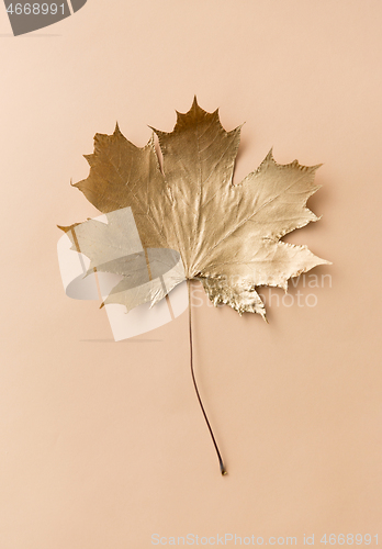 Image of golden maple leaf on beige background