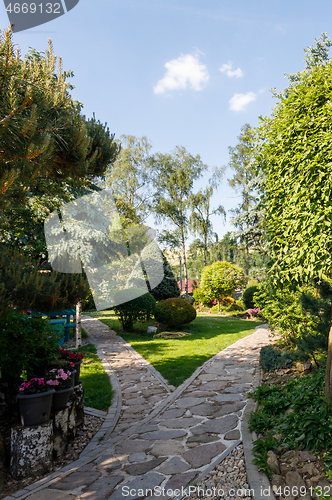 Image of colorful spring garden