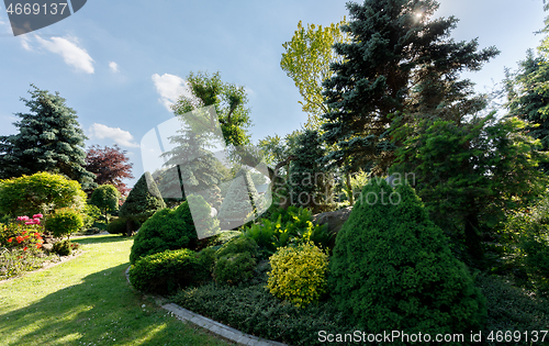 Image of colorful spring garden