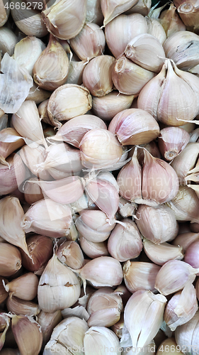 Image of Close-up garlic bulbs