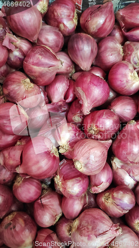 Image of Fresh organic red shallot 