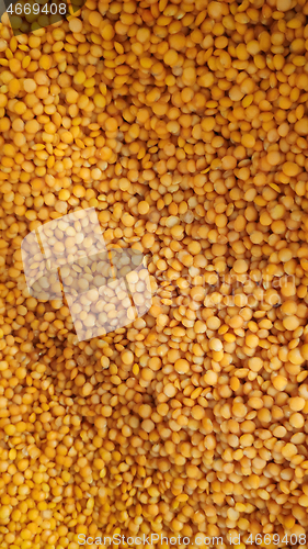 Image of Close up of the red lentils