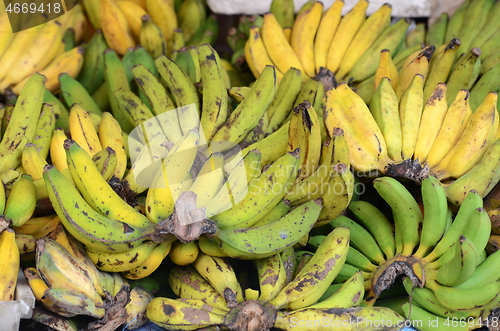 Image of Green and yellow bananas 