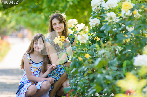 Image of mom and daughter sit in the park near the bush with roses