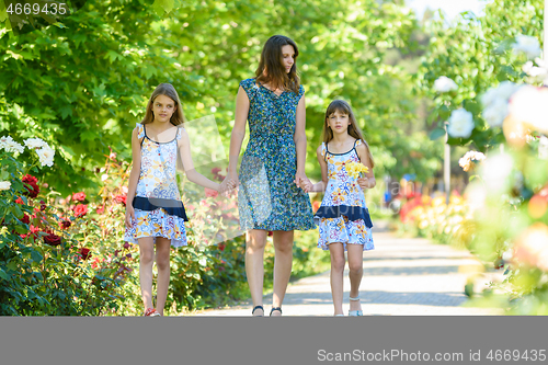 Image of young woman walks down the path in the flowering garden by the hand with her two daughters