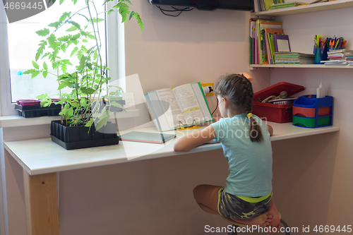 Image of Girl is teaching at home on a textbook at the desk