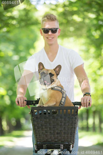 Image of French bulldog dog enjoying riding in bycicle basket in city park