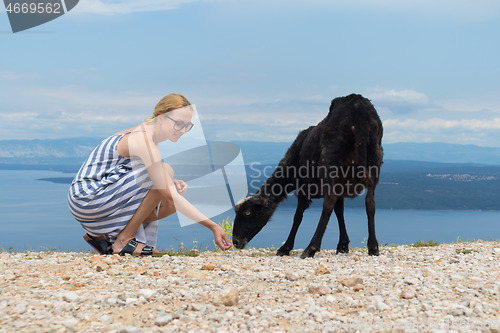 Image of Young attractive female traveler wearing striped summer dress, squatting, feeding and petting black sheep while traveling Adriatic coast of Croatia