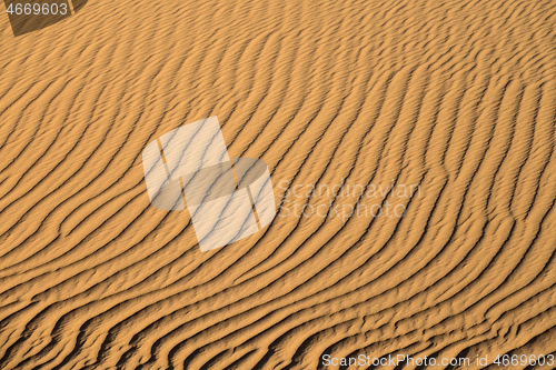 Image of Background of sand dunes