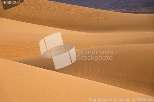 Image of Background with sandy dunes in desert