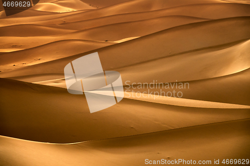 Image of Background with sandy dunes in desert