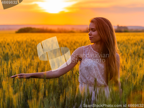 Image of Girl touch ears of wheat at sunset