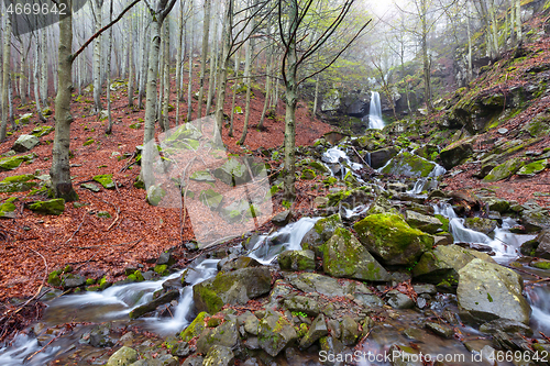 Image of Spring beech forest with a waterfall