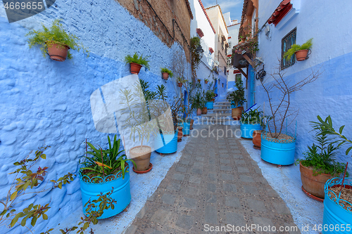 Image of Blue street with color pots in Chefchaouen