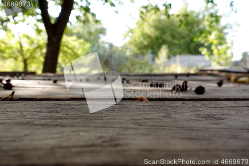 Image of Wooden table and old cherries