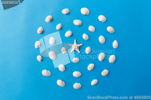 Image of different sea shells on blue background