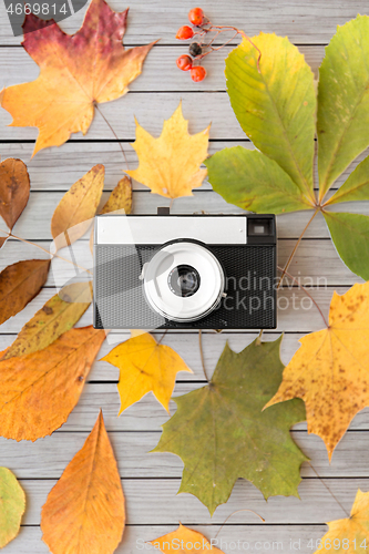 Image of film camera and autumn leaves on wooden boards