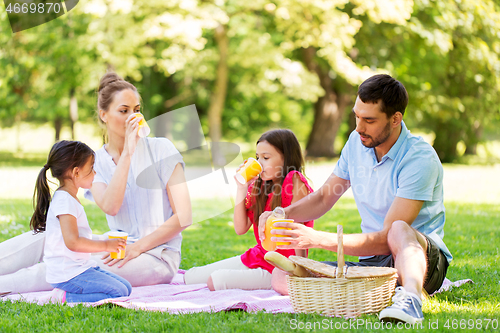 Image of family drinking juice on picnic at summer park