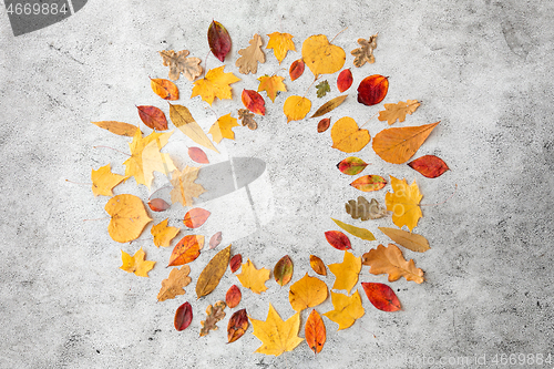 Image of round frame of different dry fallen autumn leaves