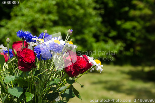 Image of Summmer flowers in a garden