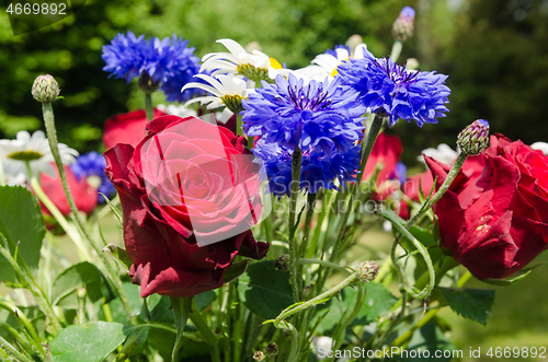 Image of Summer flowers close up