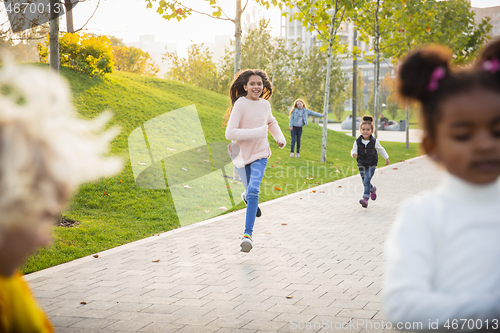 Image of Interracial group of kids, girls and boys playing together at the park in summer day