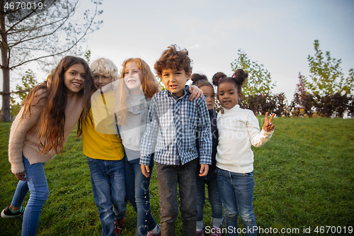 Image of Interracial group of kids, girls and boys playing together at the park in summer day