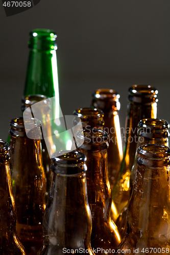 Image of Neon colored beer bottles. Close up on bright studio background