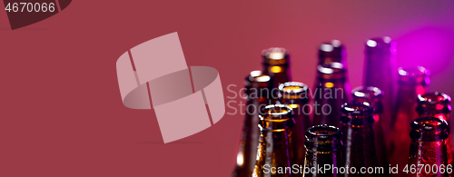 Image of Neon colored beer bottles. Close up on bright studio background