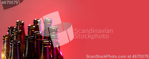 Image of Neon colored beer bottles. Close up on bright studio background