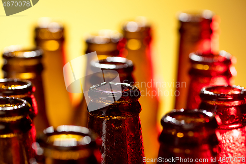 Image of Neon colored beer bottles. Close up on bright studio background